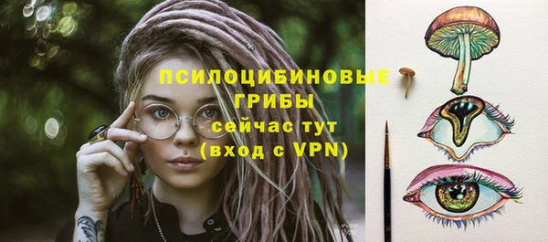 Альфа ПВП Елизово