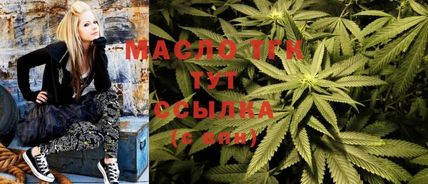 твердый Елабуга
