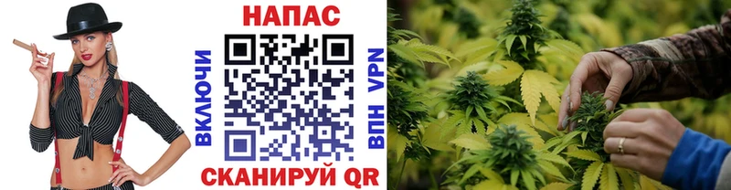 МАРИХУАНА марихуана  Зеленокумск 